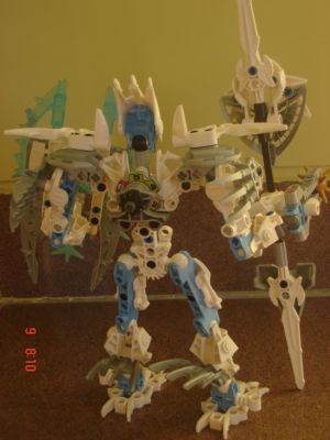 certavus_back.jpg