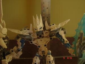 certavus_closer.jpg