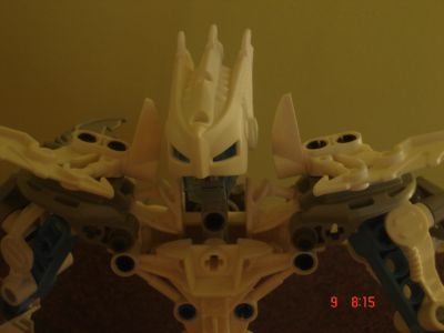 certavus_for_baner.jpg