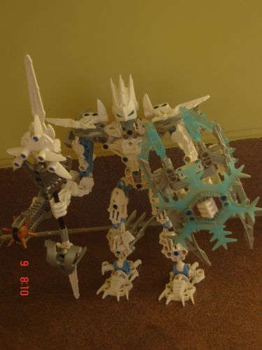 certavus_front.jpg