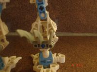 certavus_leg.jpg