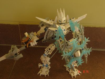certavus_pose.jpg