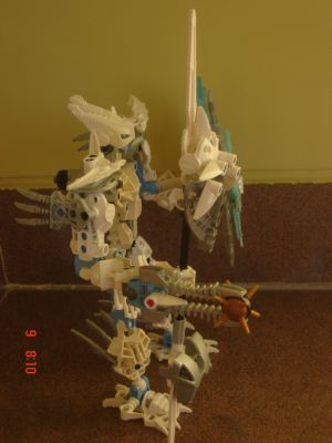certavus_sidea.jpg