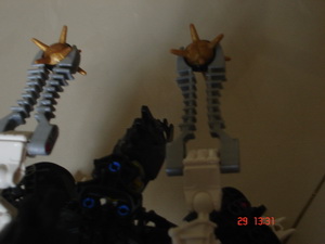 dsc07768.jpg