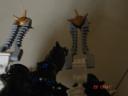 dsc07768.jpg