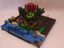 dsc00534.jpg