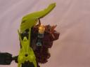 dsc00539.jpg