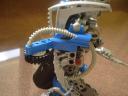 dsc00447.jpg