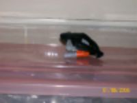 100_1420.jpg