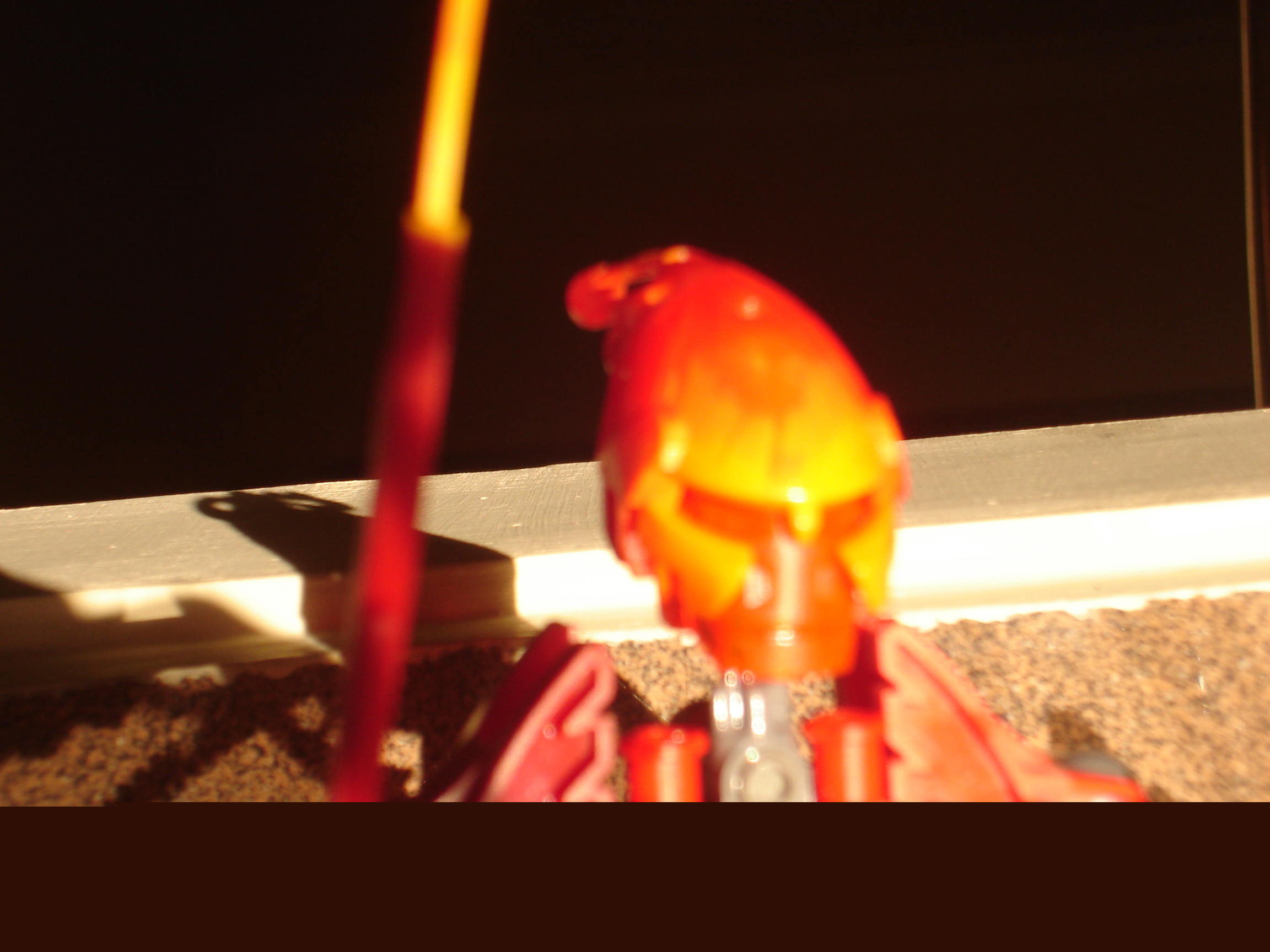 dsc07782.jpg