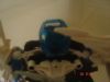 dsc07356.jpg