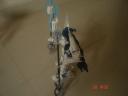 dsc07354.jpg