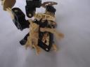 dsc00162.jpg