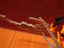 dsc07865.jpg