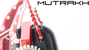 zbanner.jpg