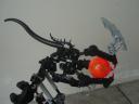 dsc00191.jpg