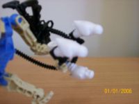 100_1296.jpg