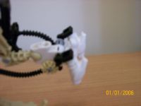 100_1297.jpg