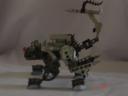 dsc07594.jpg