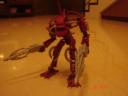 dsc07451.jpg