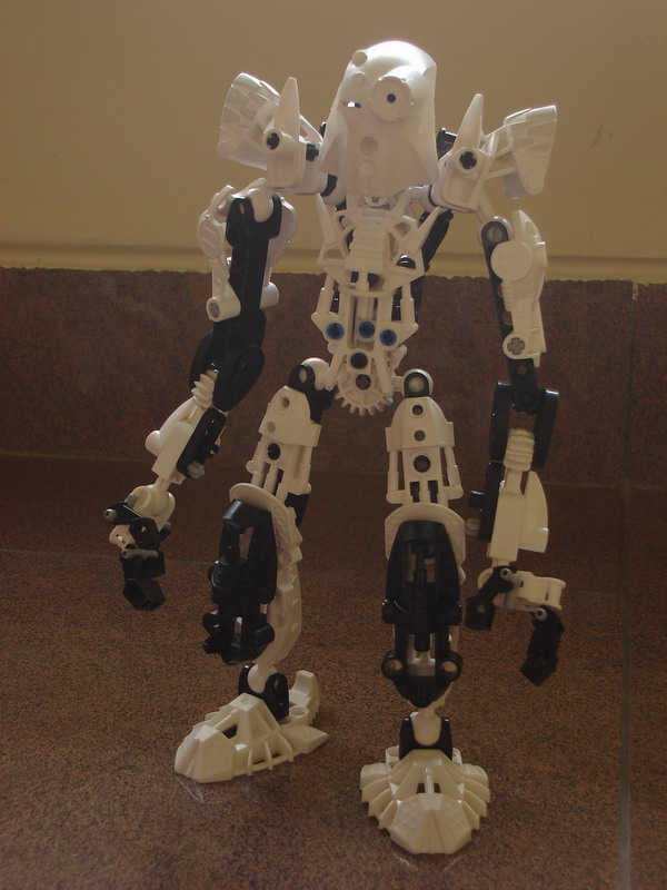 dsc08002.jpg