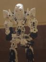 dsc08010.jpg