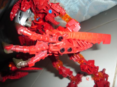 claw.jpg