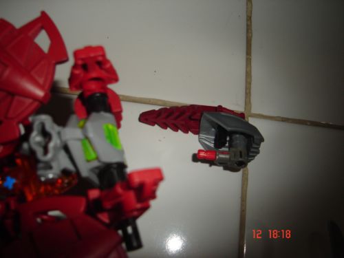 head.jpg