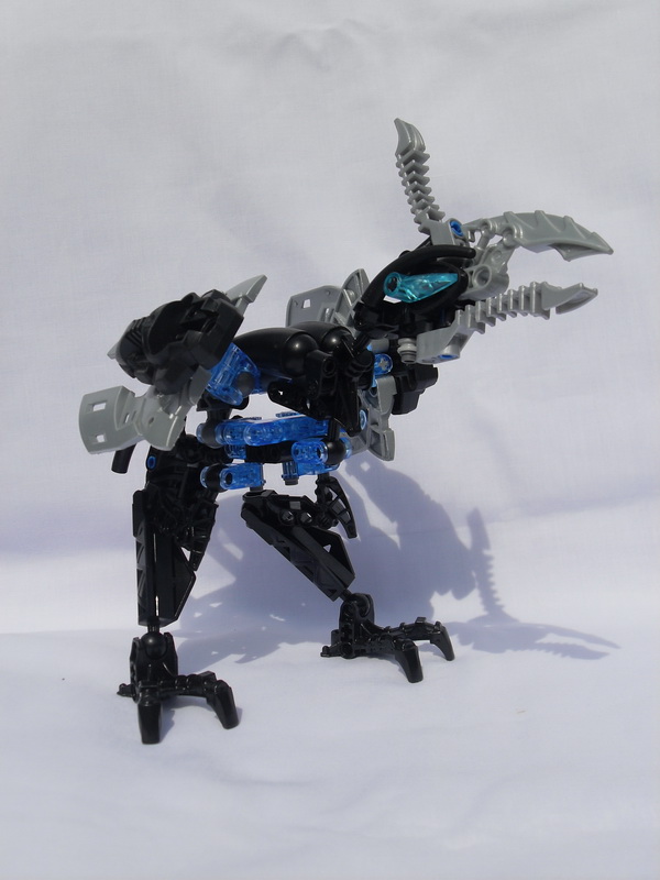 sdc11488.jpg