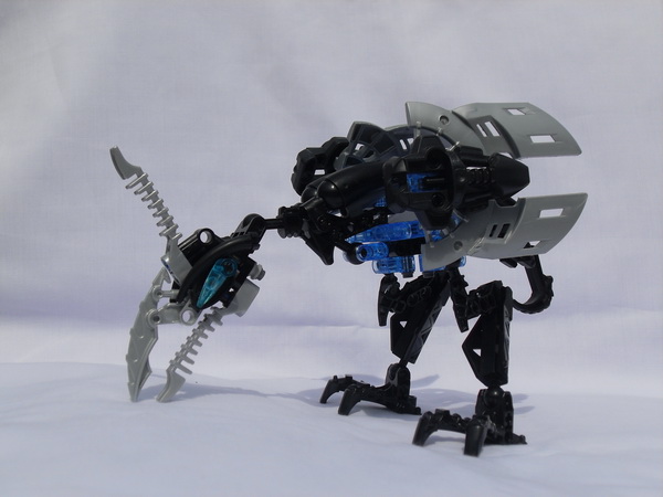 sdc11490.jpg