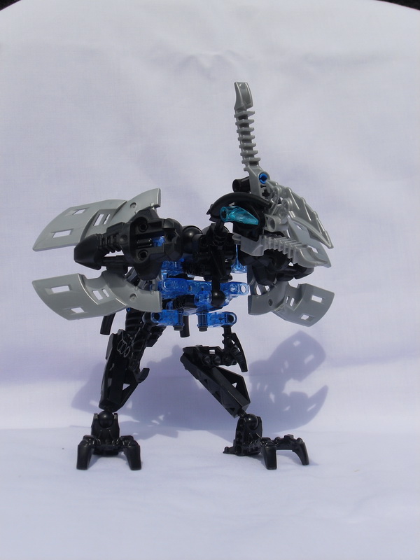 sdc11491.jpg