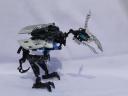 sdc11486.jpg
