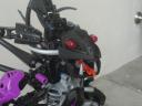 dsc00197.jpg
