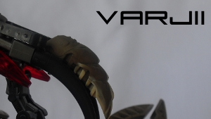 zbanner.jpg