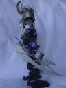 dsc00310.jpg