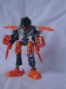 dsc00493.jpg