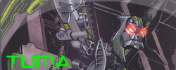 tumabanner.png