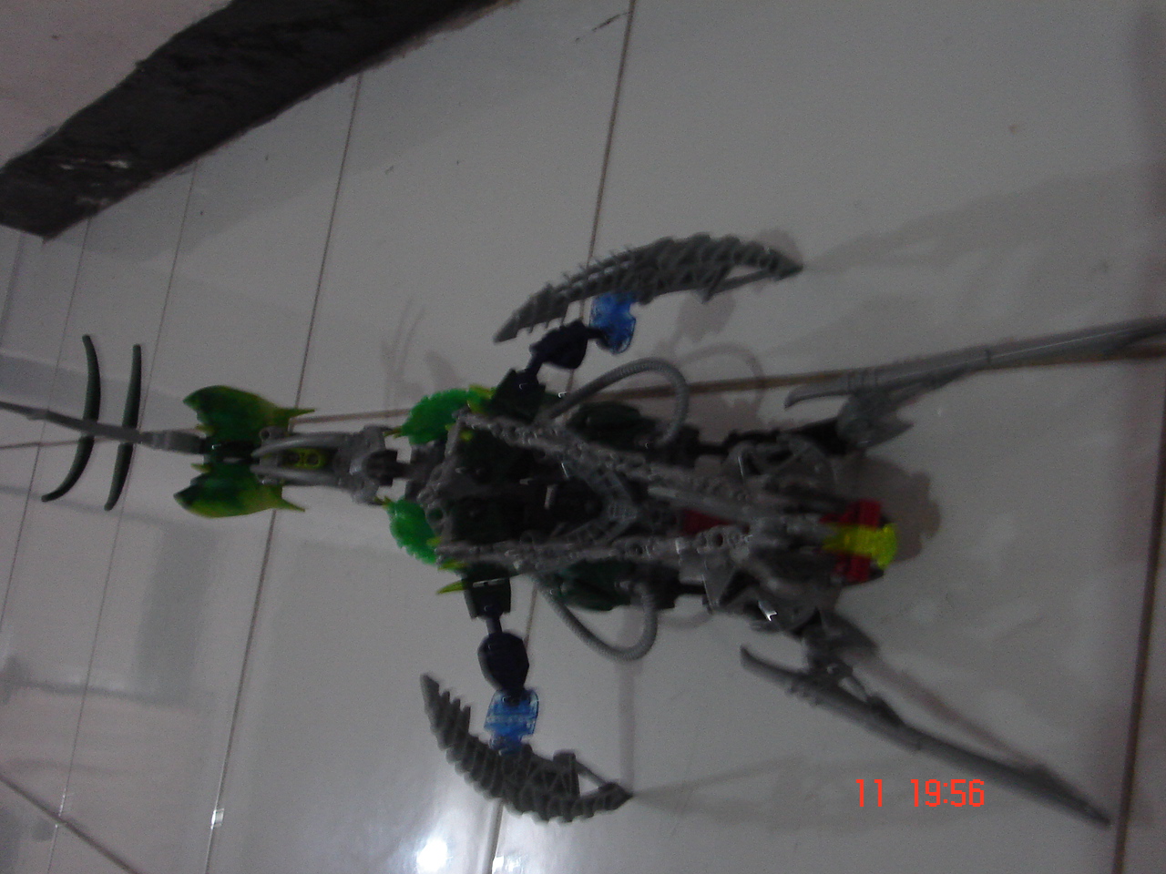 dsc06208.jpg