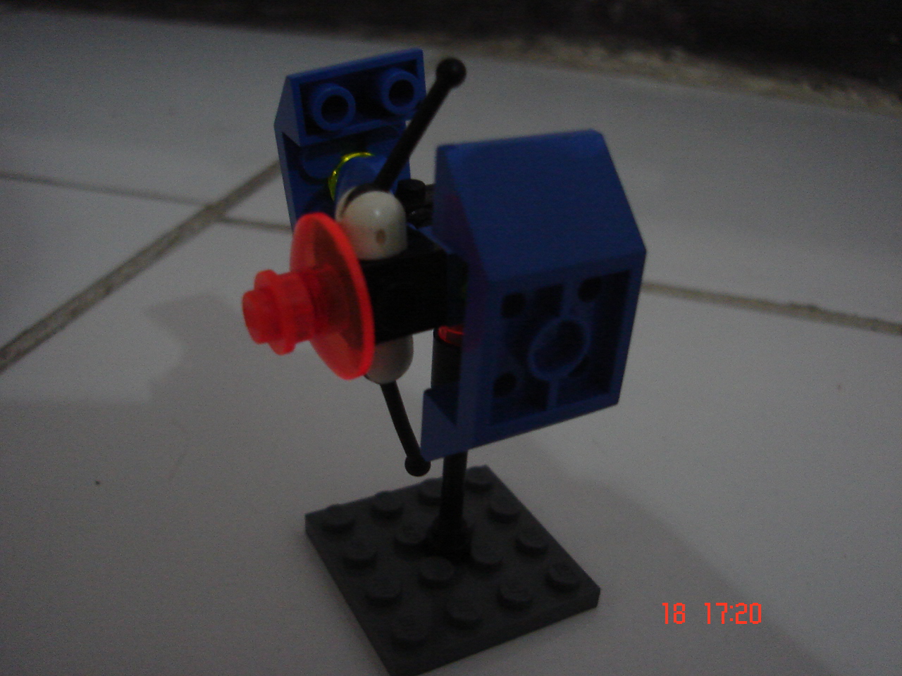 dsc06236.jpg