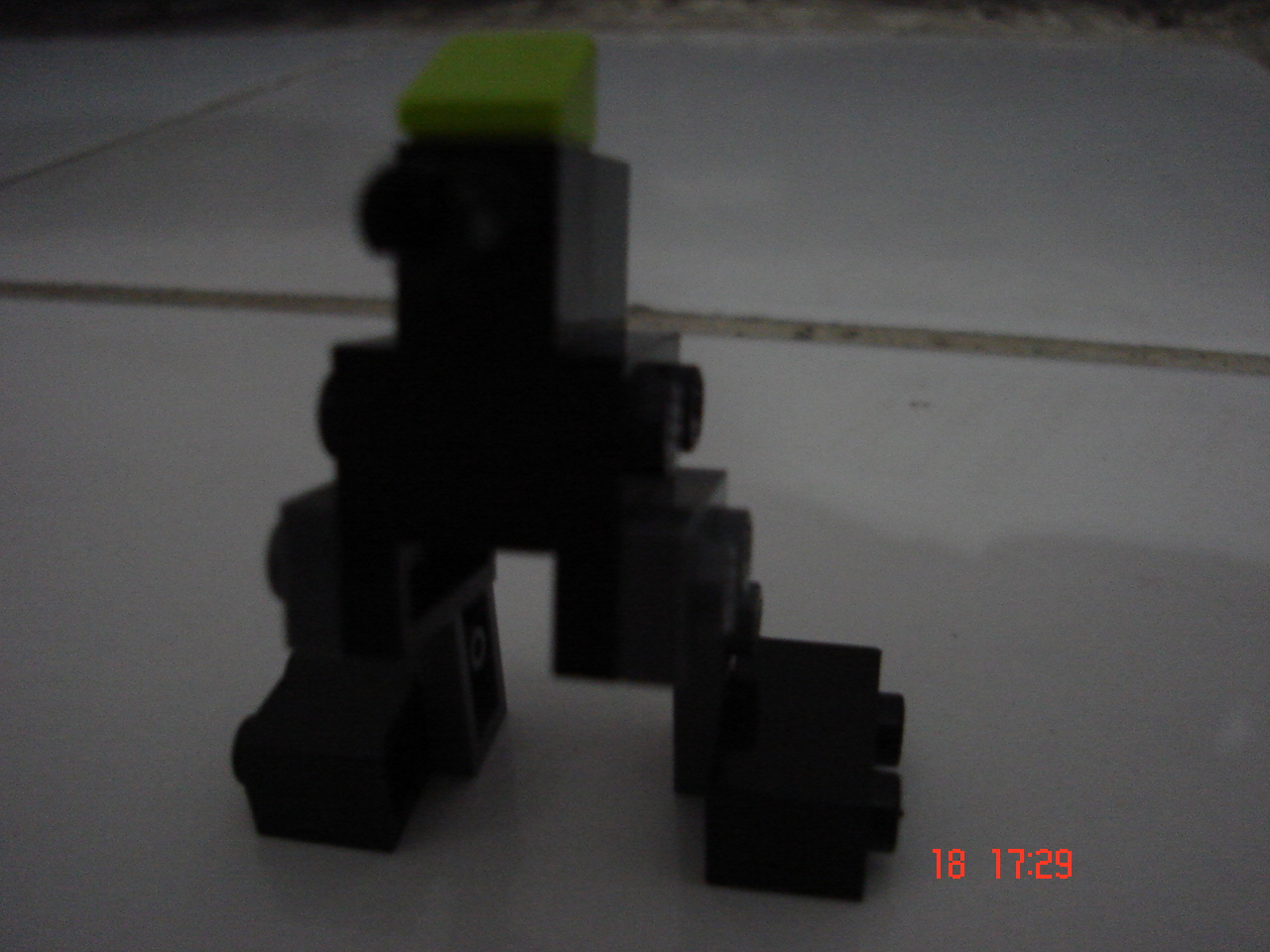 dsc06241.jpg