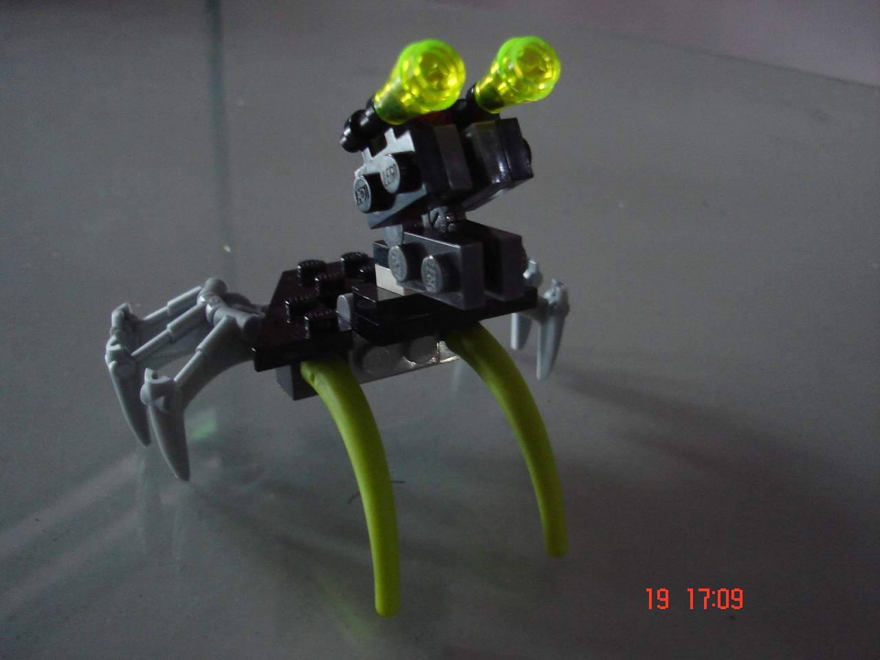 dsc06252.jpg