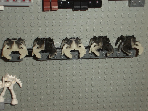 dsc00069.jpg