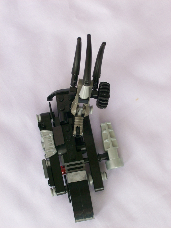 100_2509.jpg