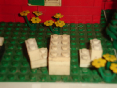 dsc00142.jpg