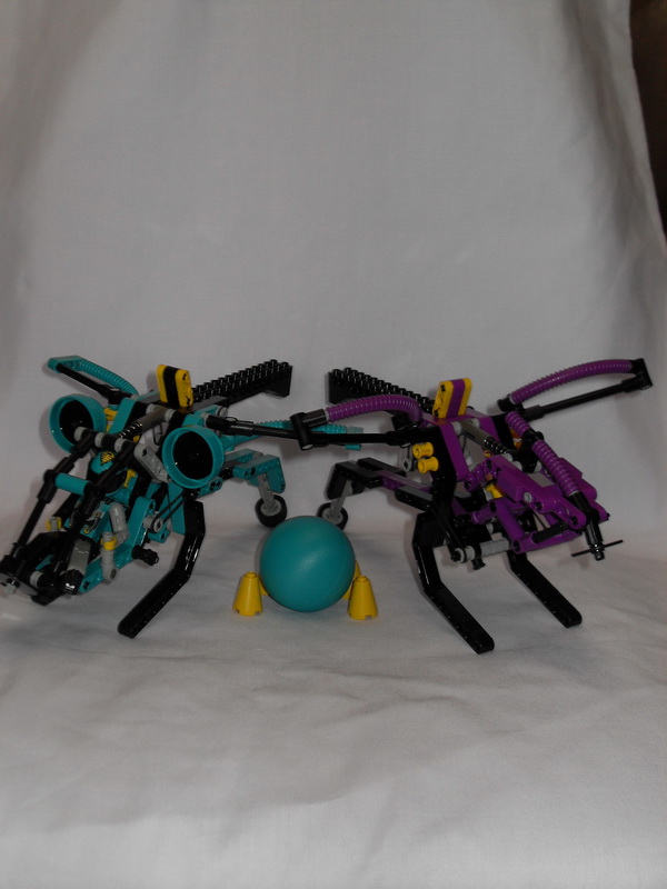 sdc11404.jpg