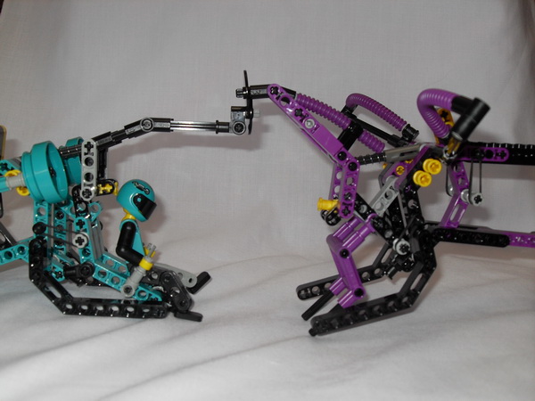 sdc11405.jpg