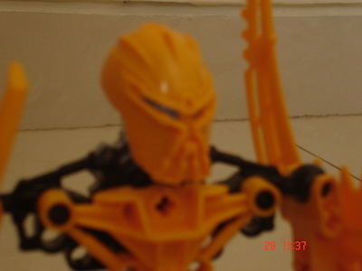 matanuihead.jpg