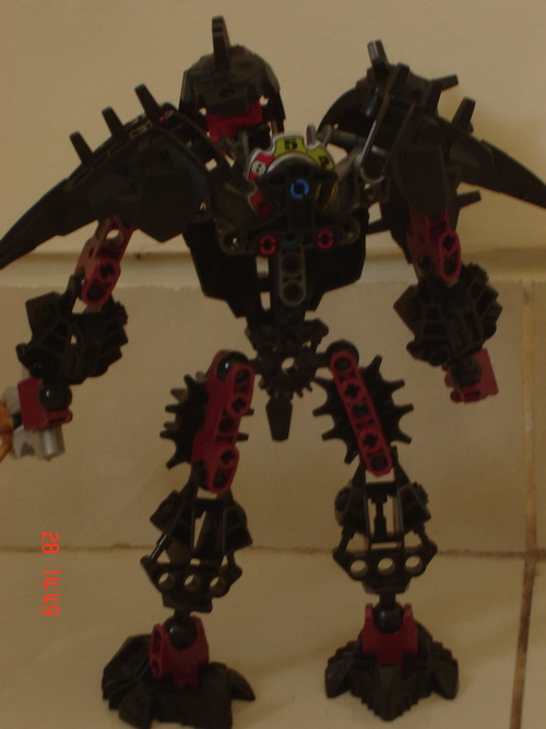 stroniusback.jpg