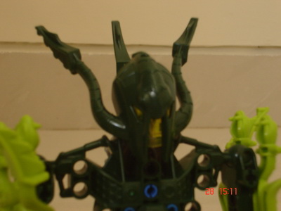 vastushead.jpg