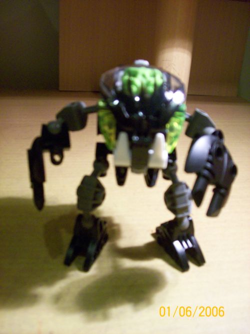 100_1213.jpg